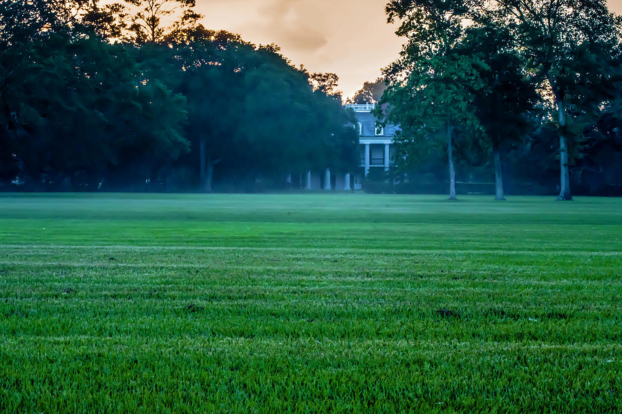 Oak Alley Plantation in Profile by Printed Pixels Oak Alley Plantation in Profile by Printed Pixels