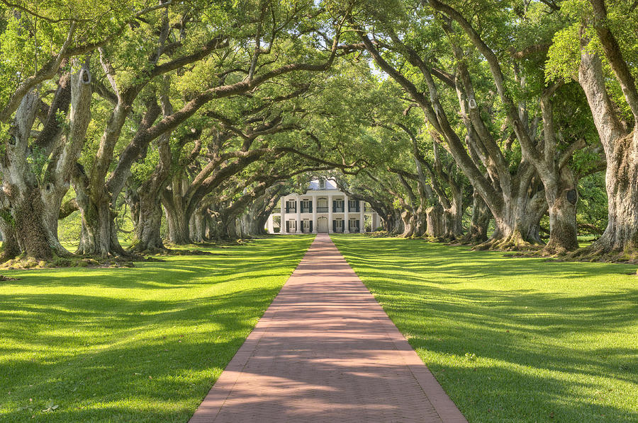 Oak Alley Plantation by Jim Vallee Oak Alley Plantation by Jim Vallee
