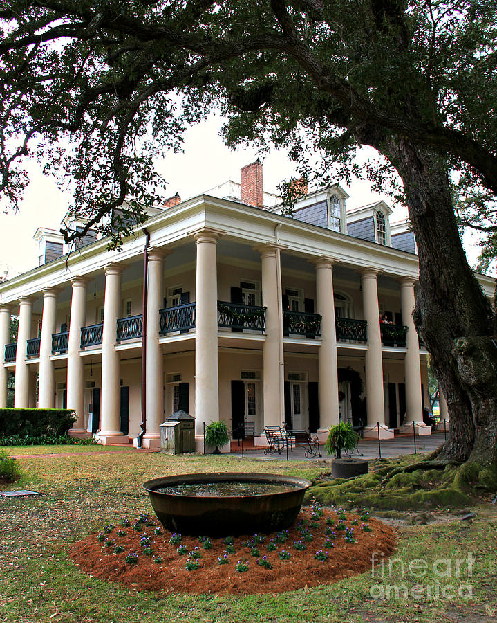 Oak Alley Plantation Photograph by Perry Webster