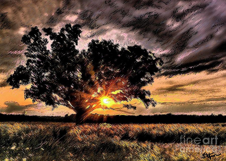 Oak At Sunset Digital Art by Stefan Duncan