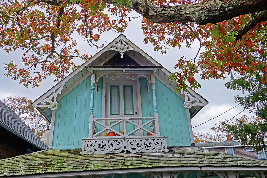 Oak Bluffs Cottages Marthas Vineyard MA Cape Cod Autumn Tree Photograph by Toby McGuire
