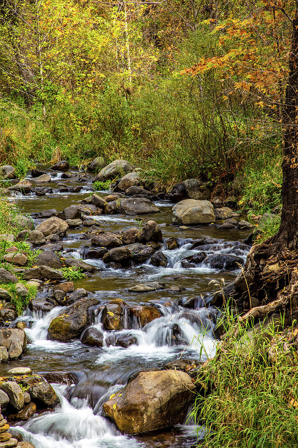 Oak Creek Canyon 5 Photograph by Jason Keefe - Fine Art America