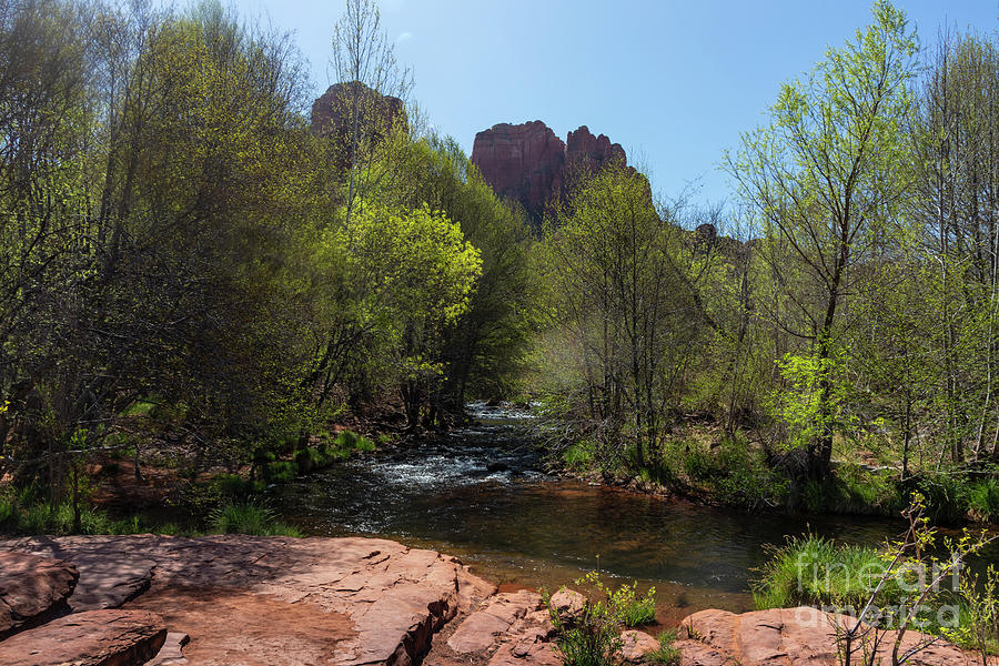 Oak Creek Canyon and Cathedral Rock Photograph by Garry McMichael