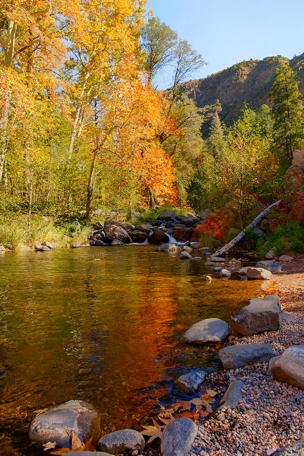 Fall Photograph - Oak Creek Canyon Fall Colors by Austin Troya