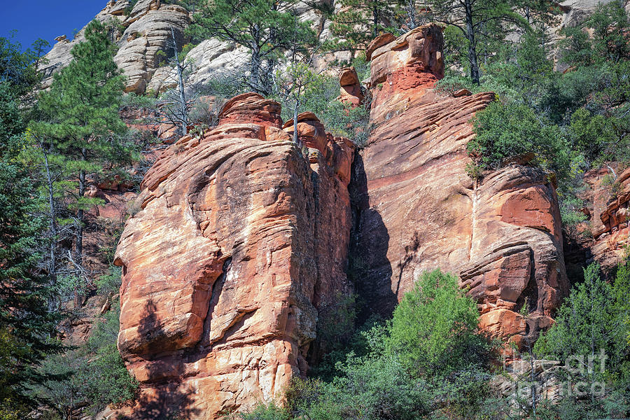 Oak Creek Canyon Red Rock Photograph by Jeff Hubbard