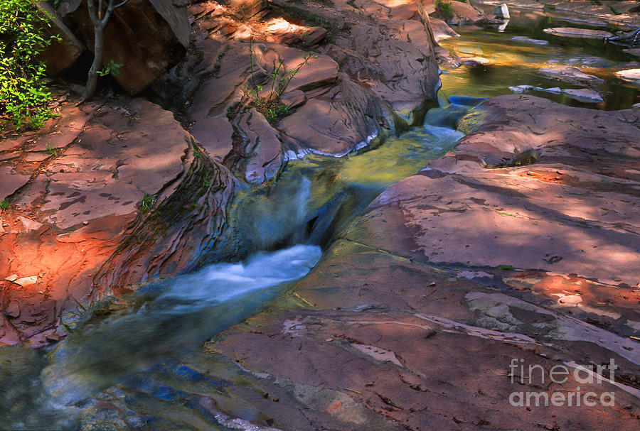 Oak Creek Canyon Splendor Photograph by Sandra Bronstein
