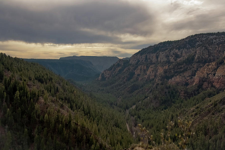 Oak Creek Canyon Photograph by Steven Lapkin