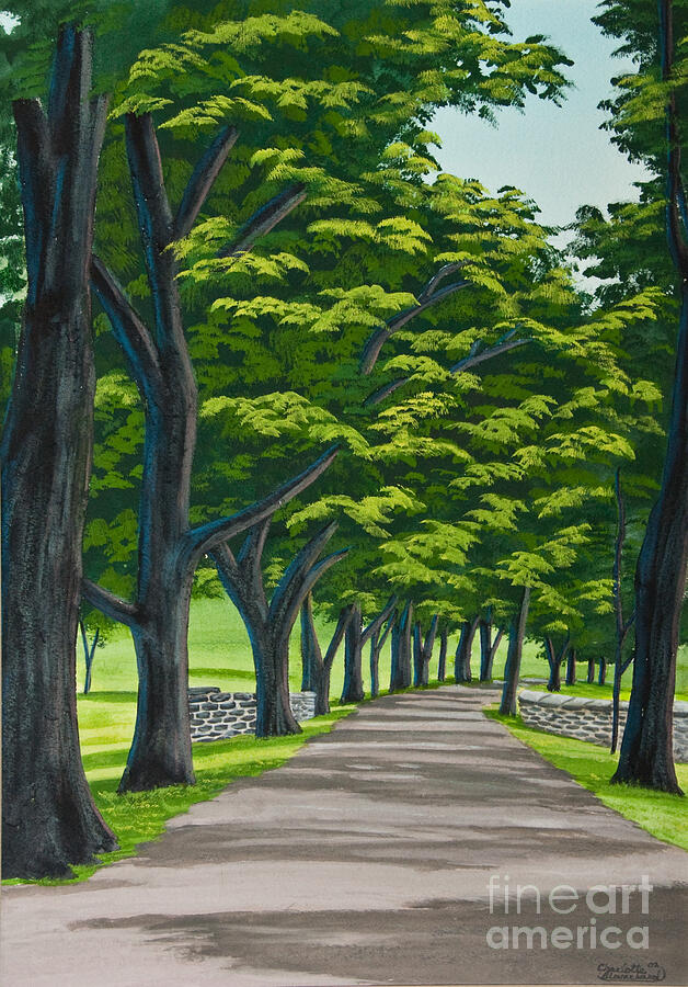 Oak Drive Painting by Charlotte Blanchard