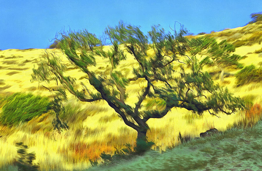 Rocky Oaks Painting - Oak From Agoura Hills by Viktor Savchenko