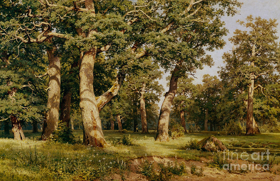 Oak Grove Painting by Ivan Ivanovich Shishkin