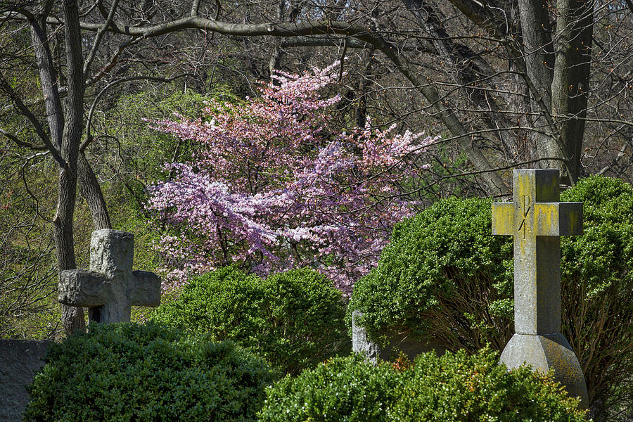 Oak Hill Cemetery Crosses Photograph by Stuart Litoff