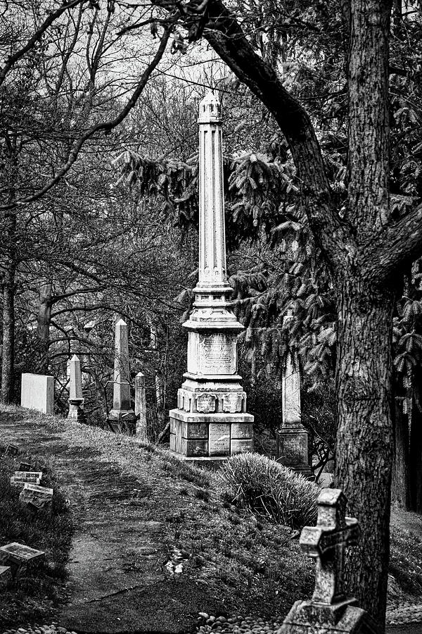 Oak Hill Cemetery Path Photograph by Stuart Litoff