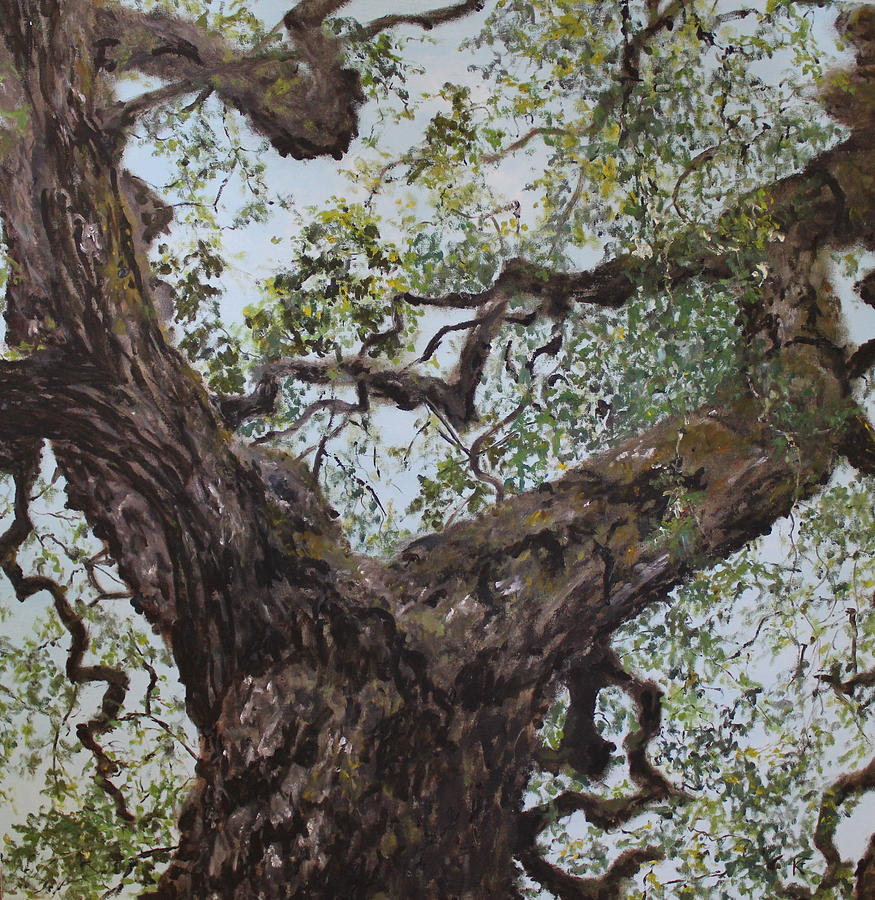 Tree Painting - Oak by Kerstin Fletcher