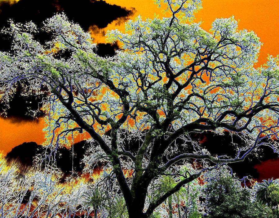 Oak Oasis Digital Art by Will Borden