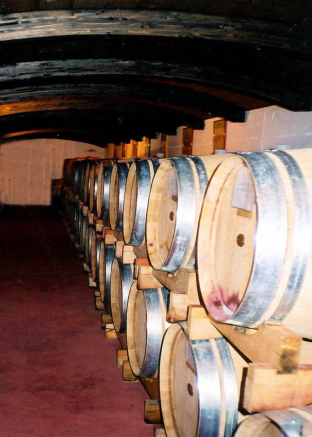 Oak Red Wine Barrels Photograph by Donna Proctor