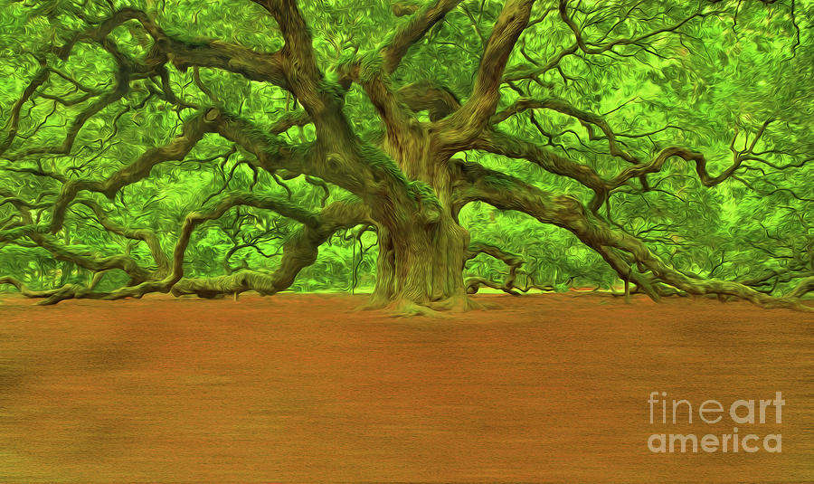 Oak Tree Art  Painting by Gull G
