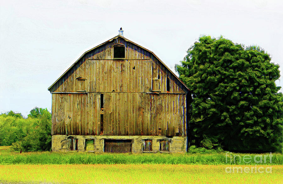 Oak Tree Barn Photograph By Anthony Djordjevic - Fine Art America