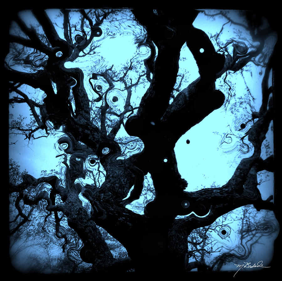 Oak Tree Photograph - Oak Tree Dream Shot by Melissa Lutes