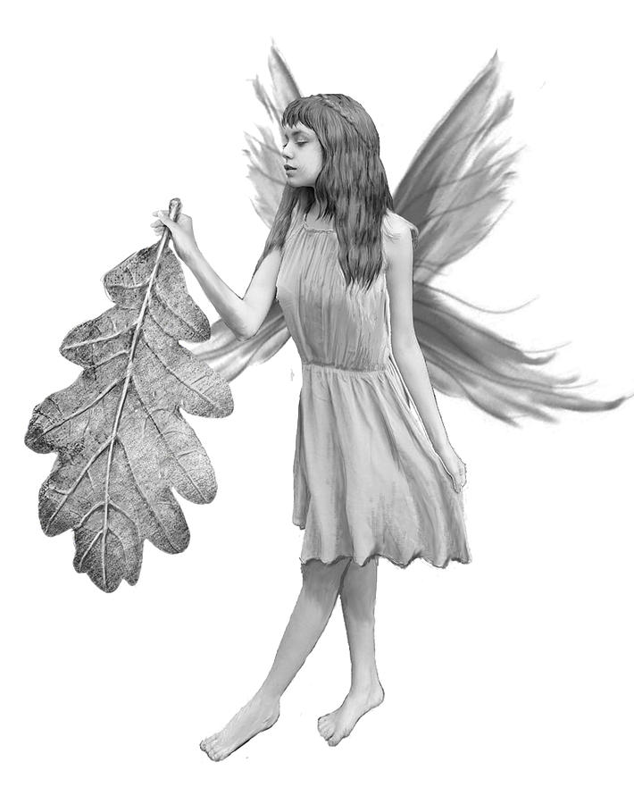 Oak Tree Fairy with Leaf B And W Digital Art by Yuichi Tanabe