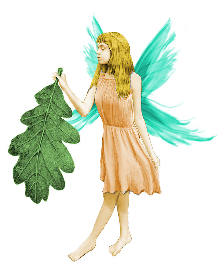 Oak Tree Fairy with Oak Leaf Digital Art by Yuichi Tanabe