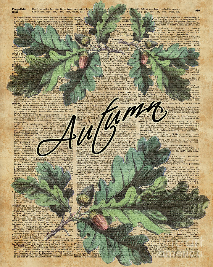 Vintage Digital Art - Oak Tree Leaves and Acorns, Autumn Dictionary Art by Anna W