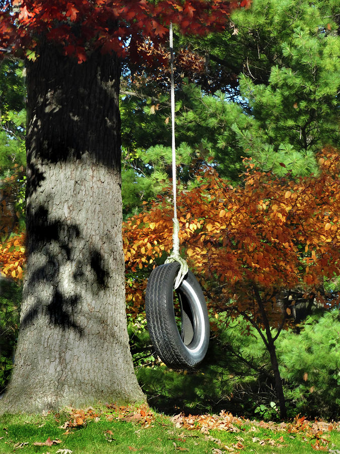 Oak Tree Tire Swing Photograph by David T Wilkinson