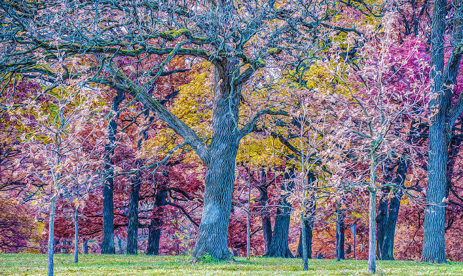 Oak Trees at Fall Digital Art by Judith Barath