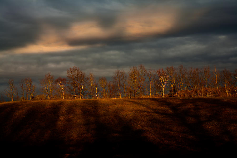 Sunset Photograph - Oakfield Evening by Irwin Barrett