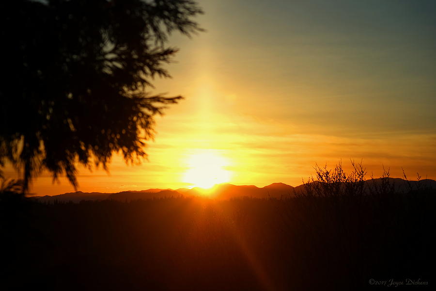 Oakrun Sunset 03 16 17 Photograph by Joyce Dickens