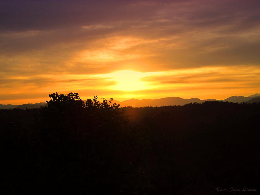 OakRun Sunset Photograph by Joyce Dickens