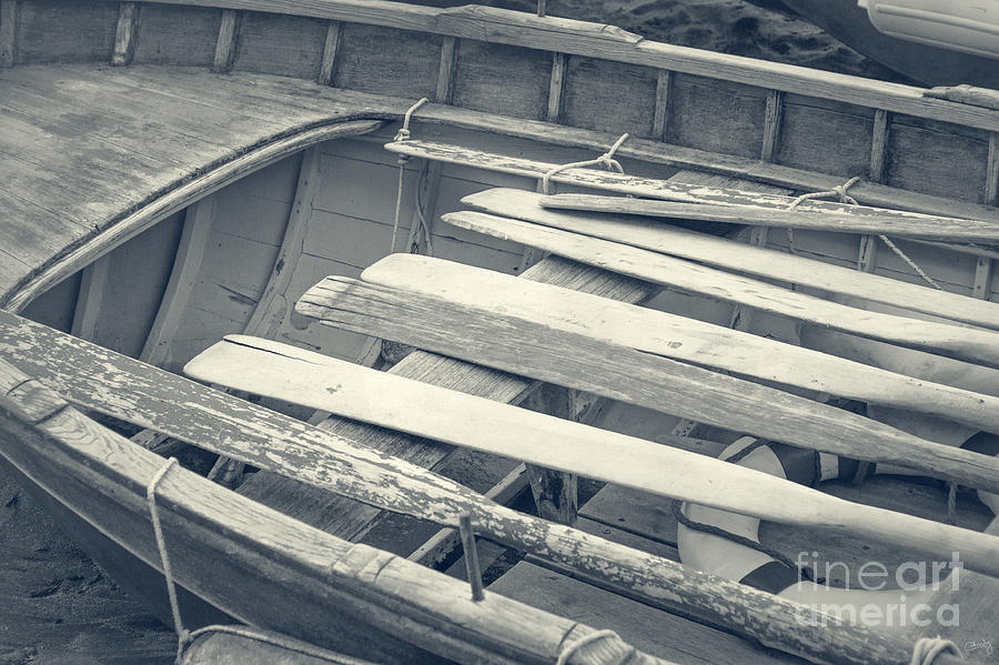Oars Photograph by Prints of Italy