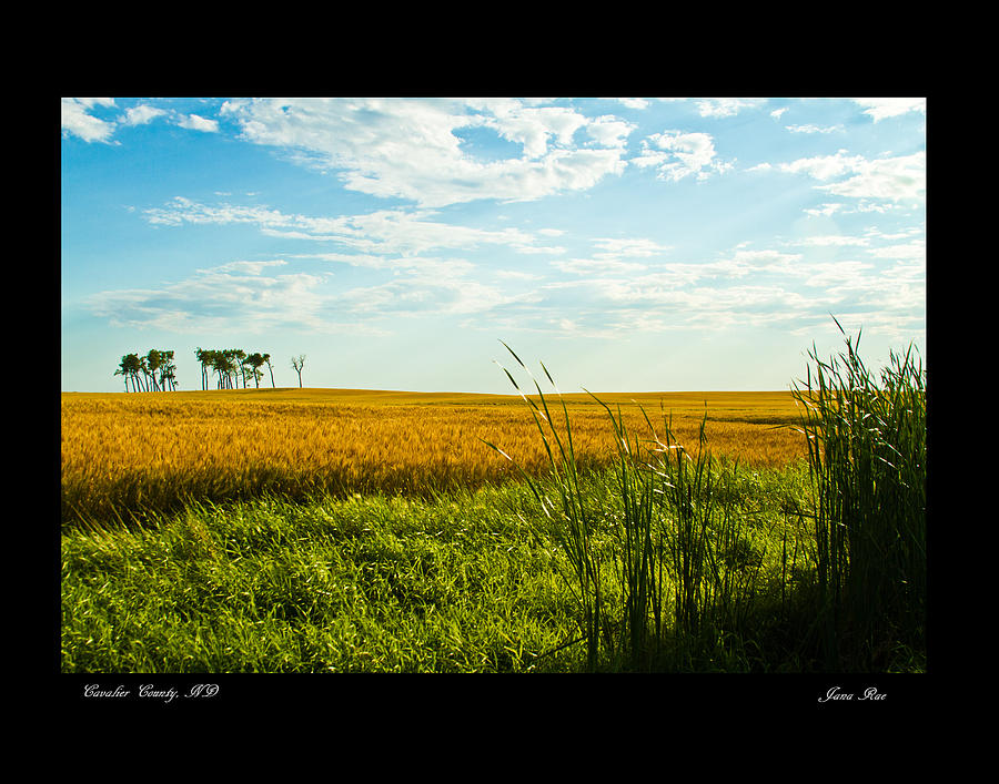 Oasis in North Dakota Photograph by Jana Rosenkranz