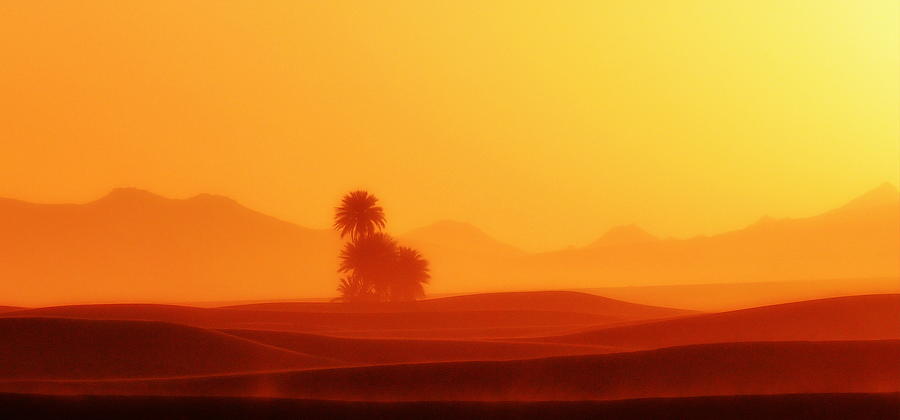 Sunset Photograph - Oasis in the Sahara by HQ Photo