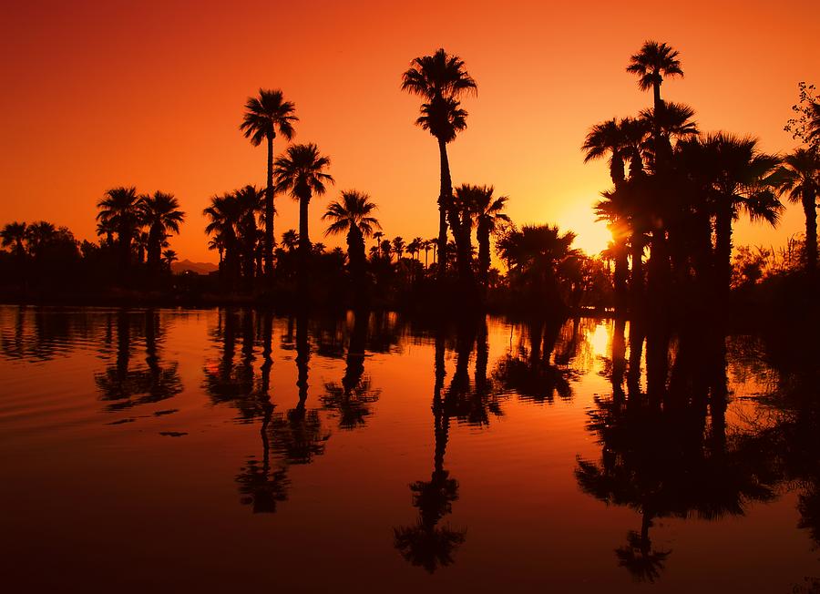 Sunset Photograph - Oasis  by Linda Morland