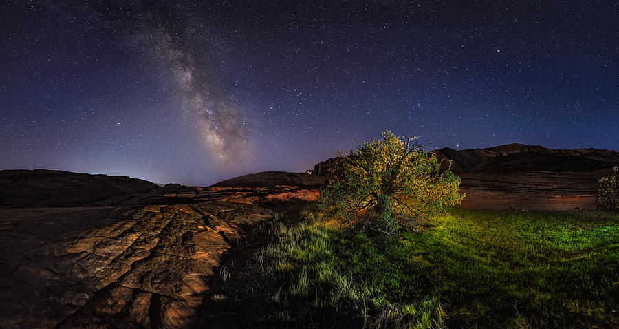 Oasis Milky Way Photograph by Michael Ash
