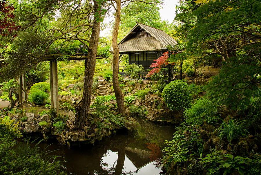 Nature Photograph - Oasis of Serenity by Fergal Gleeson