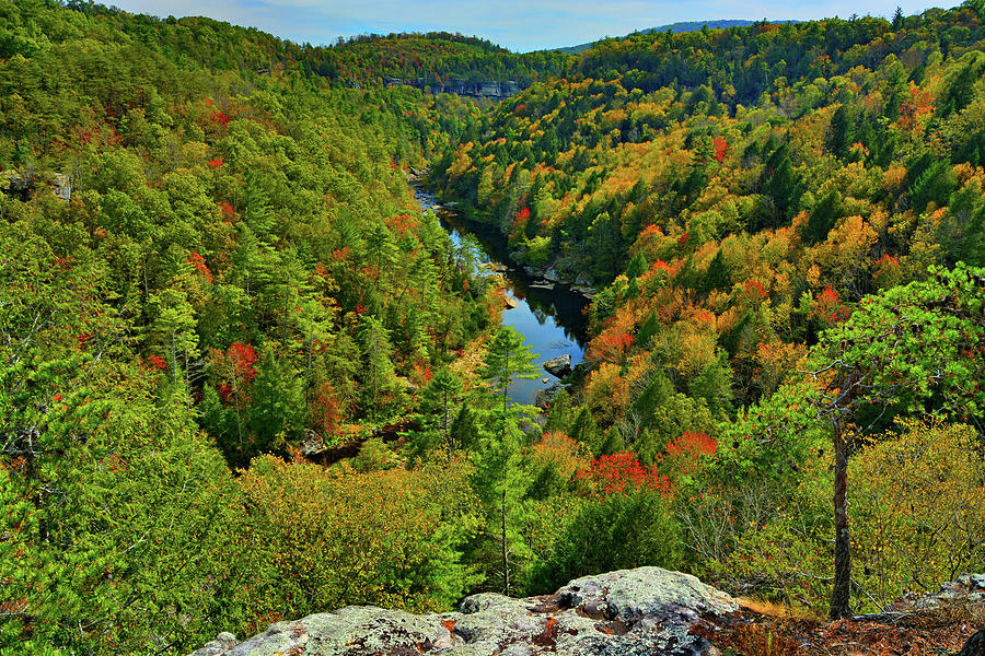 Obed Wild and Scenic River Photograph by Ben Prepelka