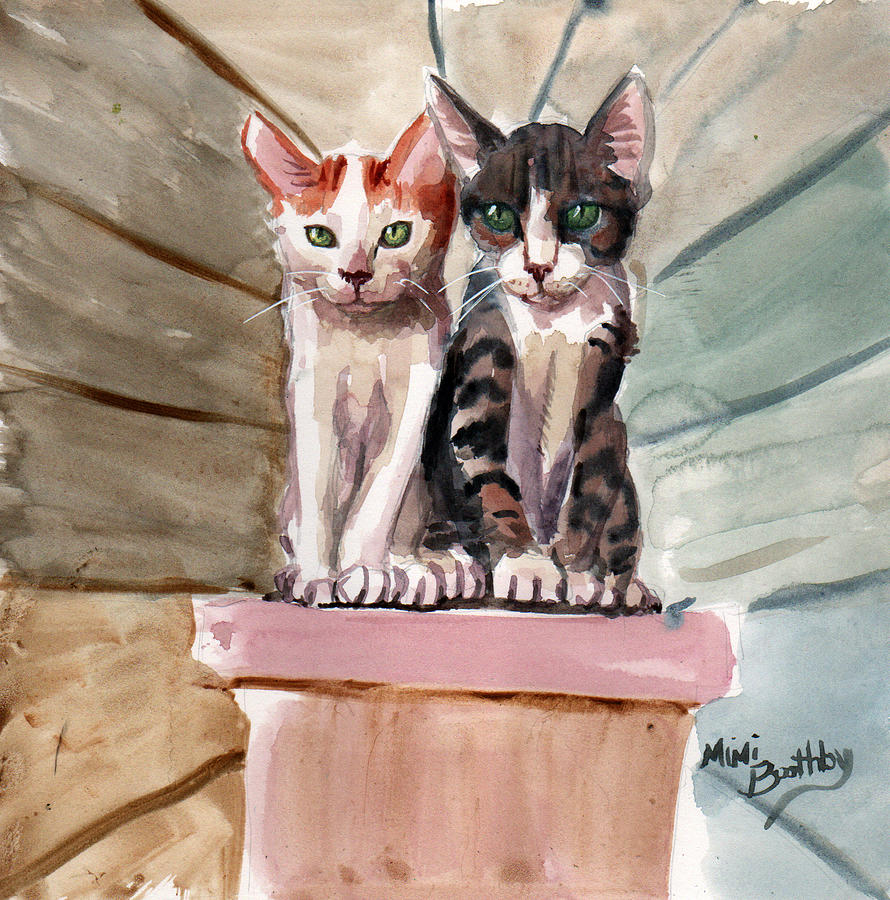 Obi and Lisa two kittens by Mimi Boothby Obi and Lisa two kittens by Mimi Boothby