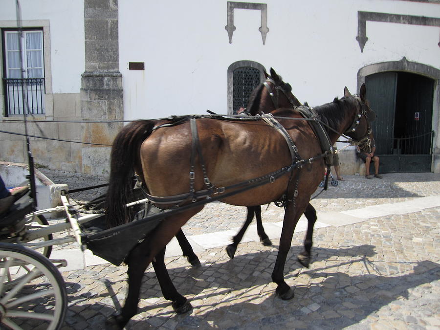 Obidos Horses Portugal Photograph by John Shiron