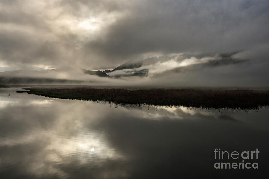 Landscape Photograph - Obscured - Flat Creek, Jackson, WY by Sandra Bronstein