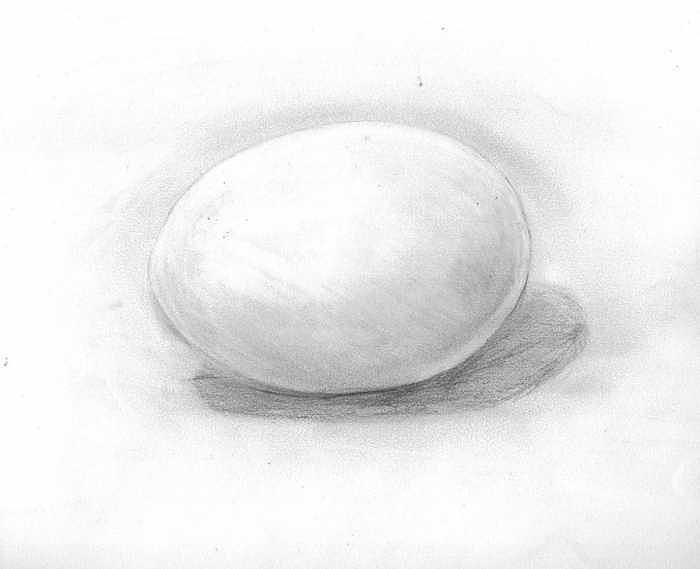 Egg Drawing - observation EGG ON WHITE by Katie Alfonsi