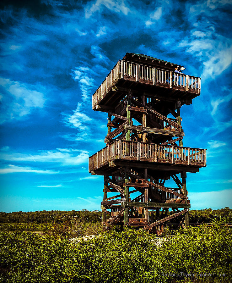 Observation Tower at Robinson Preserve Photograph by Richard Goldman