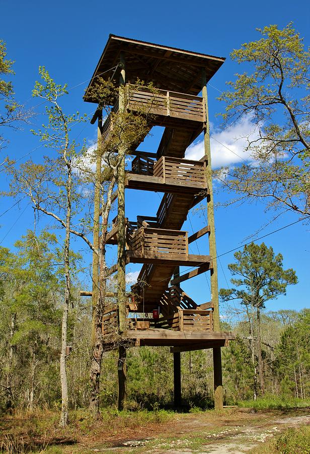 Observation Tower Photograph by Cynthia Guinn