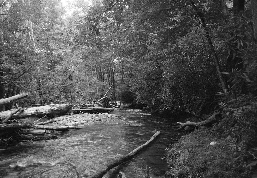 National Parks Photograph - Ocanaluftee River - Great Smokey Mountains by William Wetmore