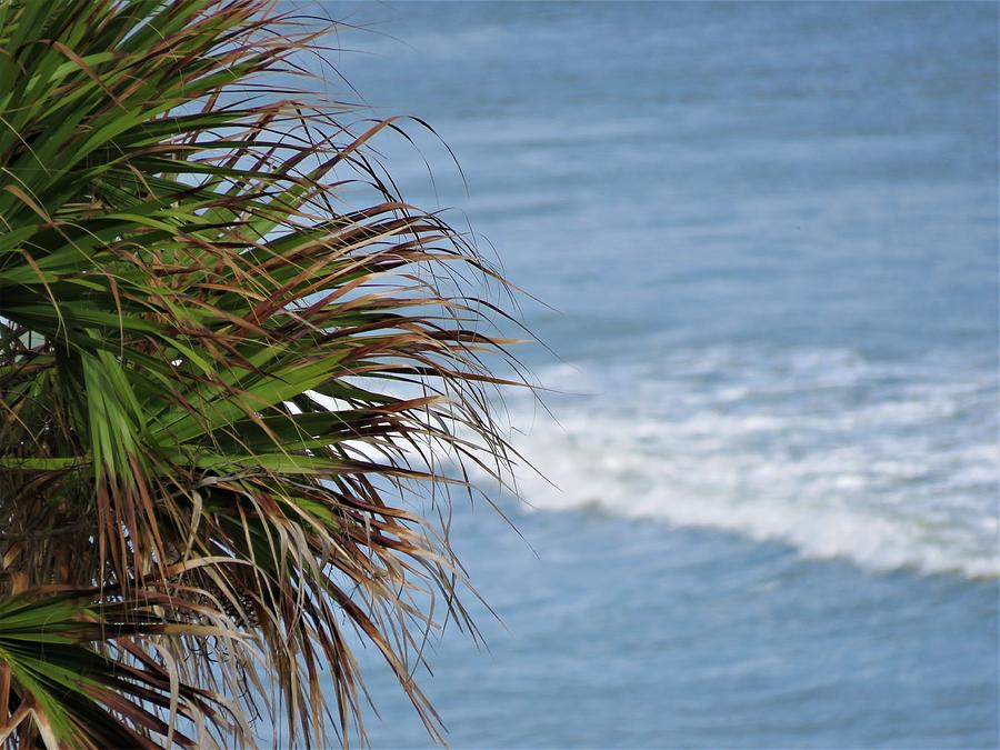 Ocean and Palm Leaves Photograph by Kathy Long