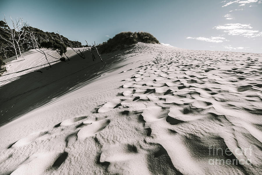 Landscape Photograph - Ocean Beach desert in Tasmania by Jorgo Photography