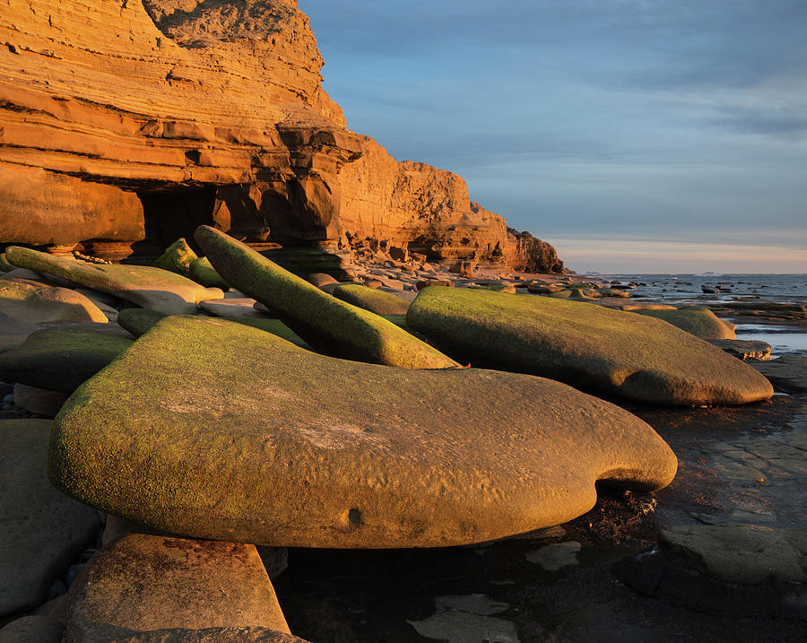 San Diego Photograph - Ocean Beach Large Stone by William Dunigan