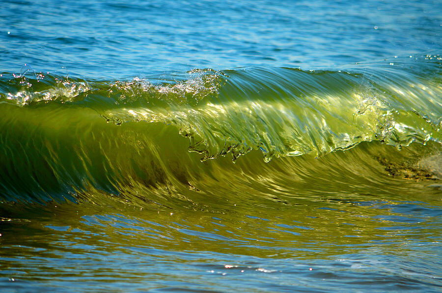 Ocean Beauty Photograph by Dianne Cowen Cape Cod Photography
