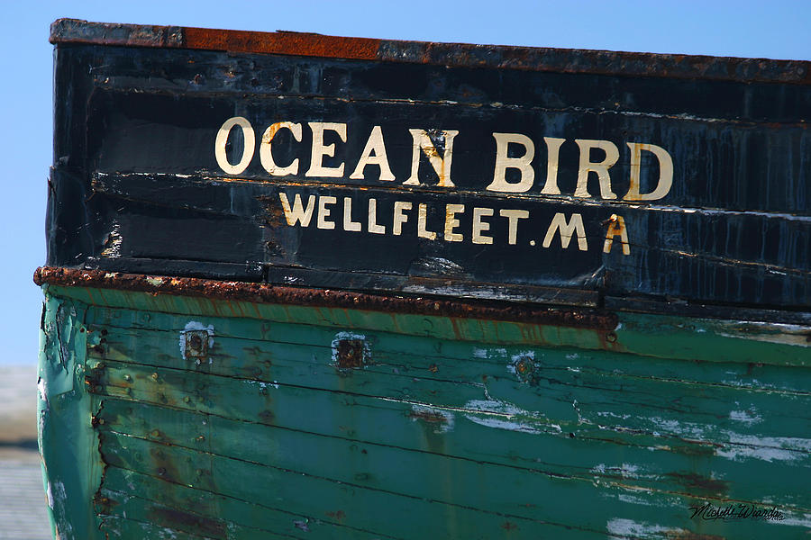 Ocean Bird Harbor Landscape Wellfleet Massachusetts Photograph by Michelle Constantine