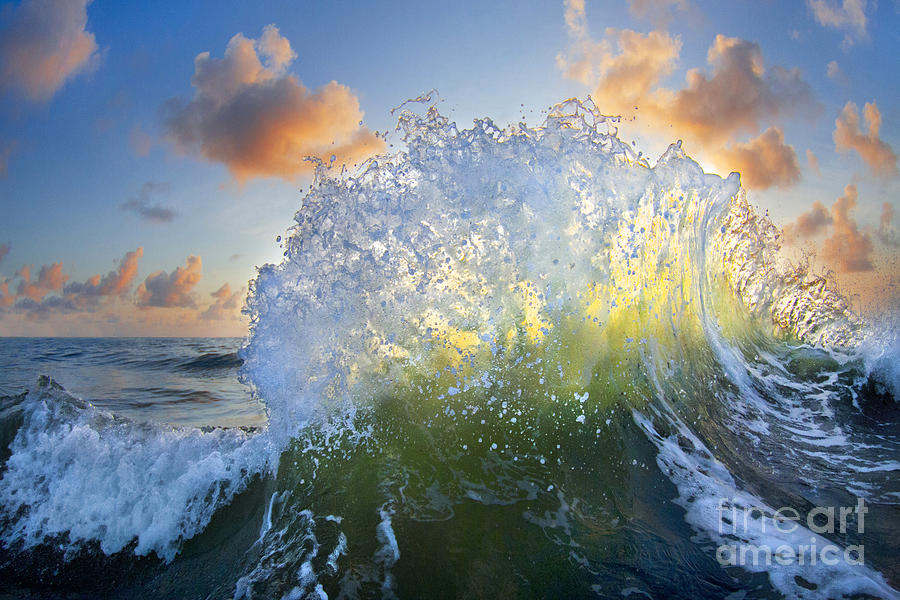 Ocean Bouquet  -  part 3 of 3 Photograph by Sean Davey